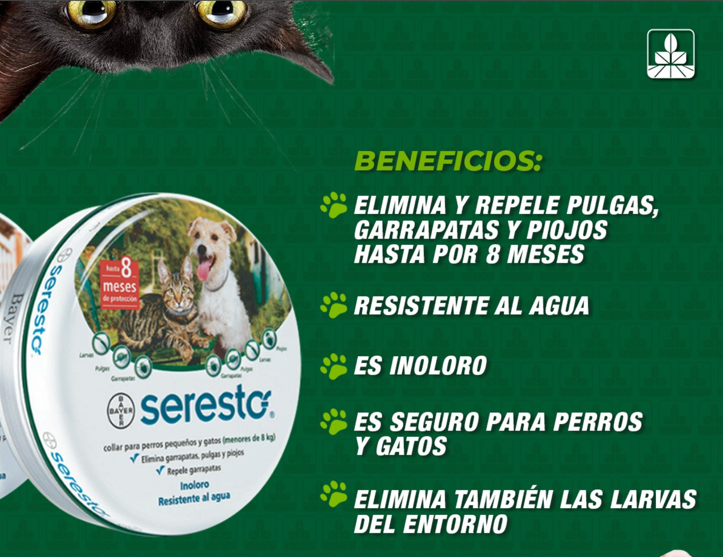 Promoción Especial 2x1🐶 : Compra 1 Collar Antiparasitario y Llévate 2 – 8 Meses de Protección – Ajustable para Perros y Gatos – Talla 70cm