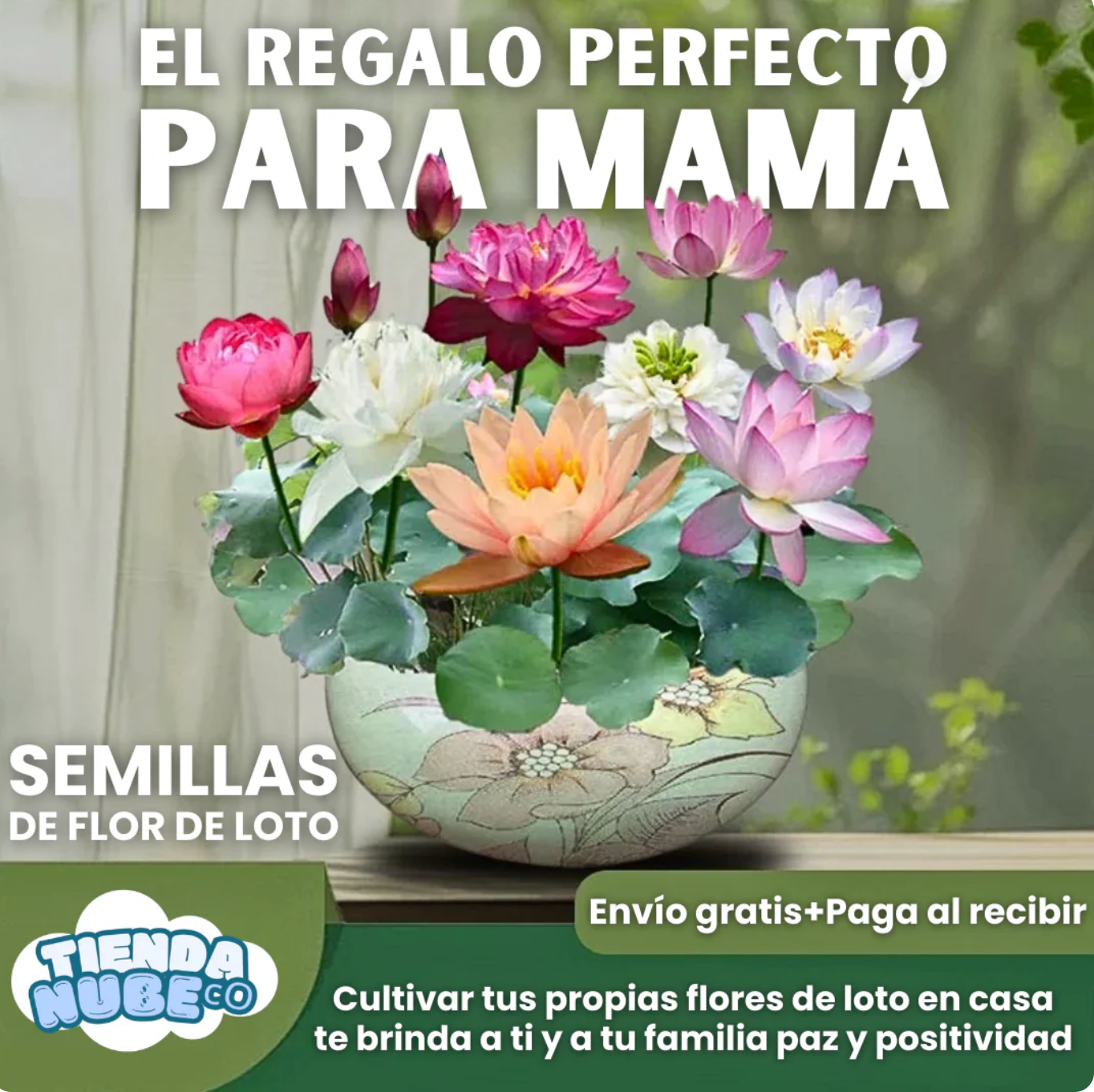 Semillas Mixtas de Rosasy amapolas Trepadoras X 250 Semillas