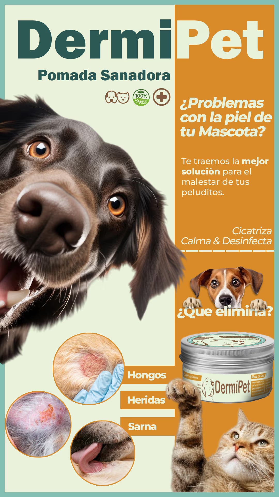 Dermipet POMADA SANADORA 🐶 🐱
